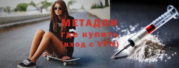 индика Новозыбков