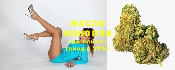 индика Новозыбков