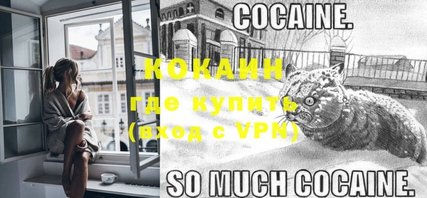 индика Новозыбков
